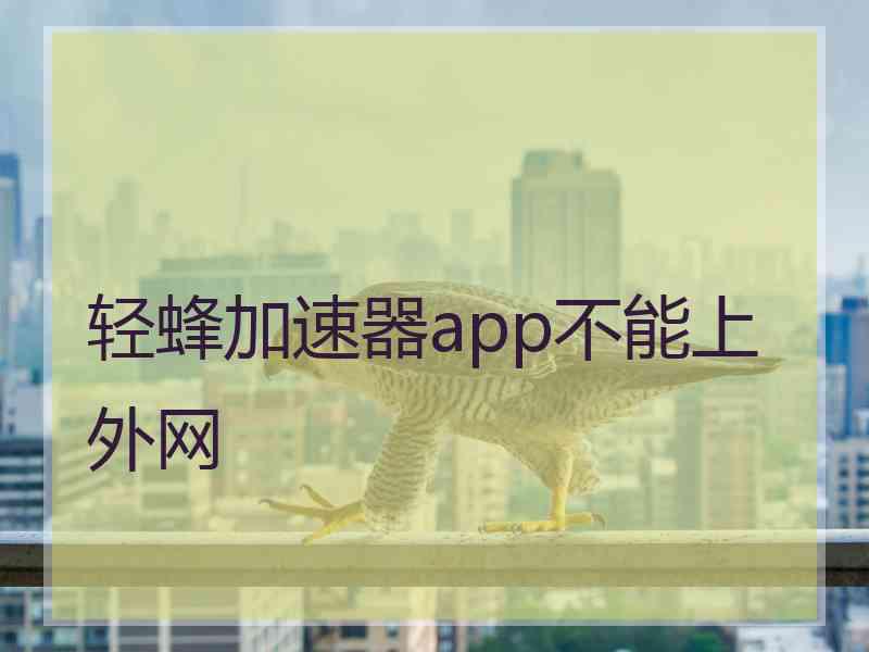 轻蜂加速器app不能上外网