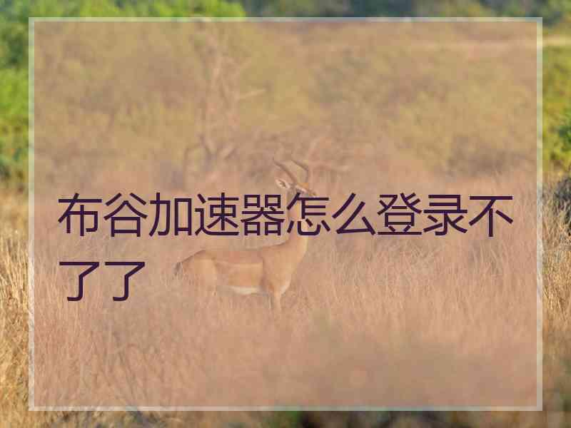 布谷加速器怎么登录不了了