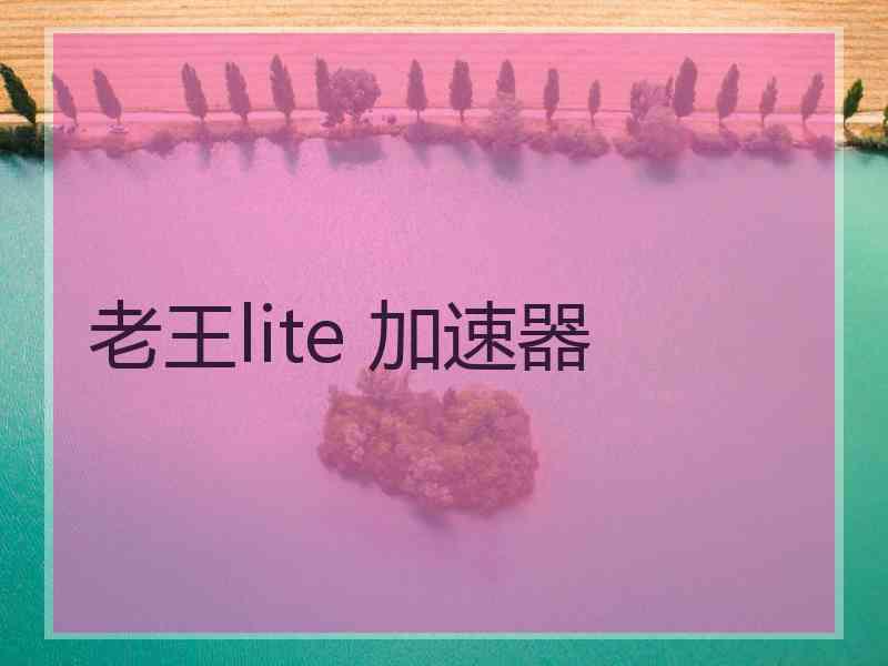 老王lite 加速器