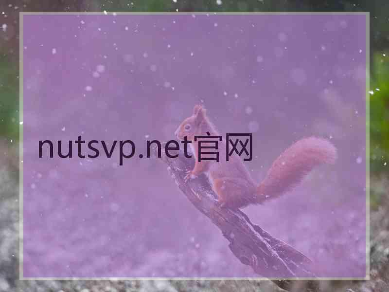 nutsvp.net官网