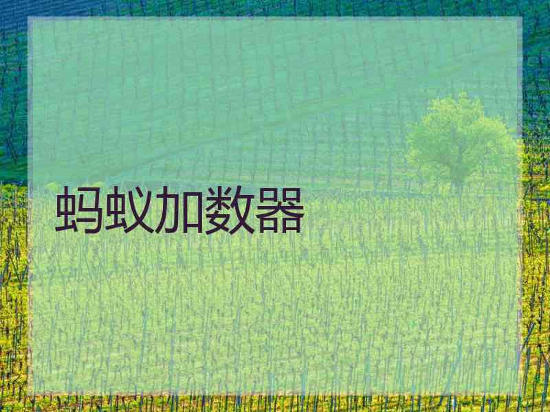 蚂蚁加数器