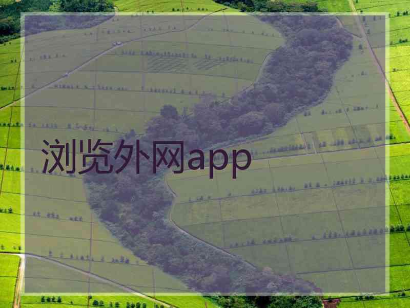 浏览外网app