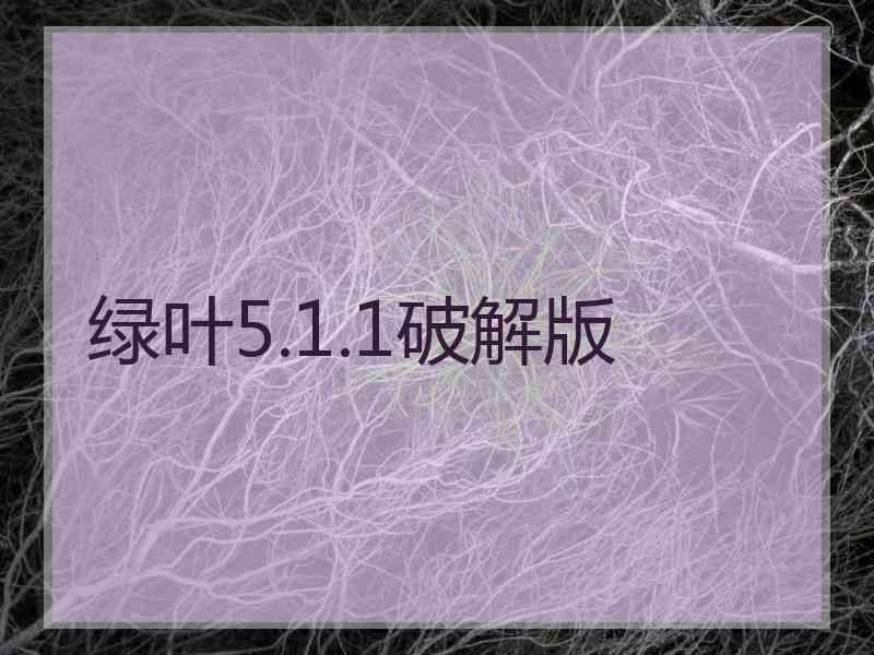 绿叶5.1.1破解版