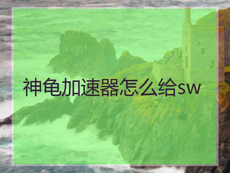 神龟加速器怎么给sw