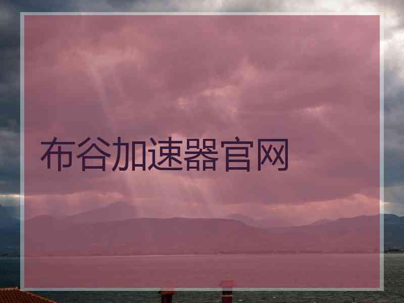 布谷加速器官网