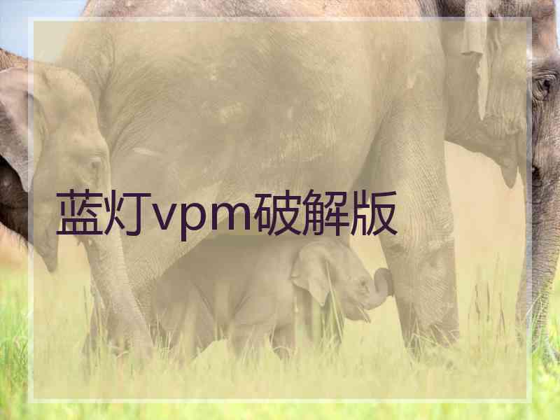 蓝灯vpm破解版