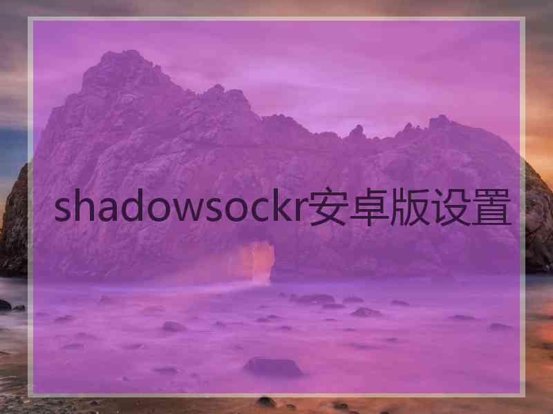 shadowsockr安卓版设置