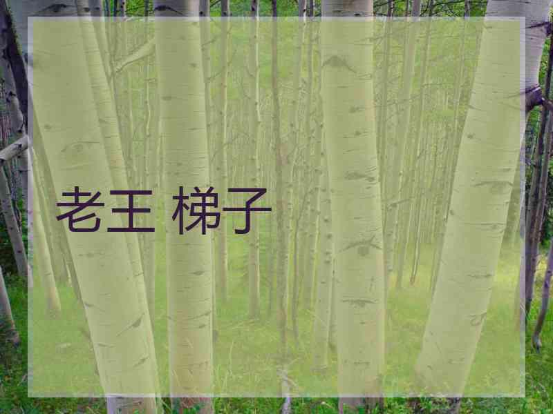 老王 梯子