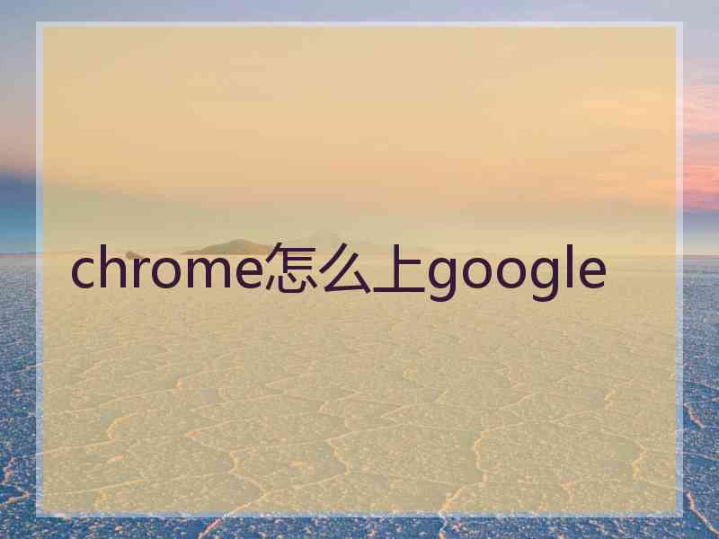 chrome怎么上google