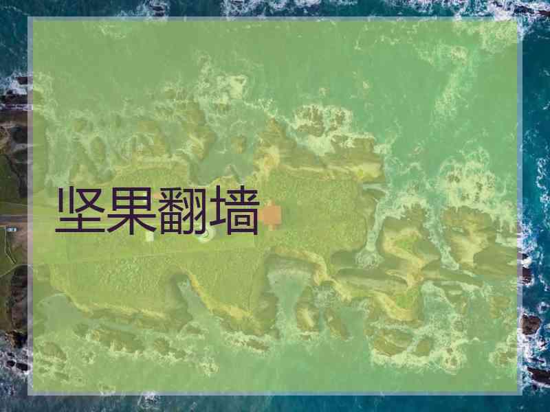 坚果翻墙