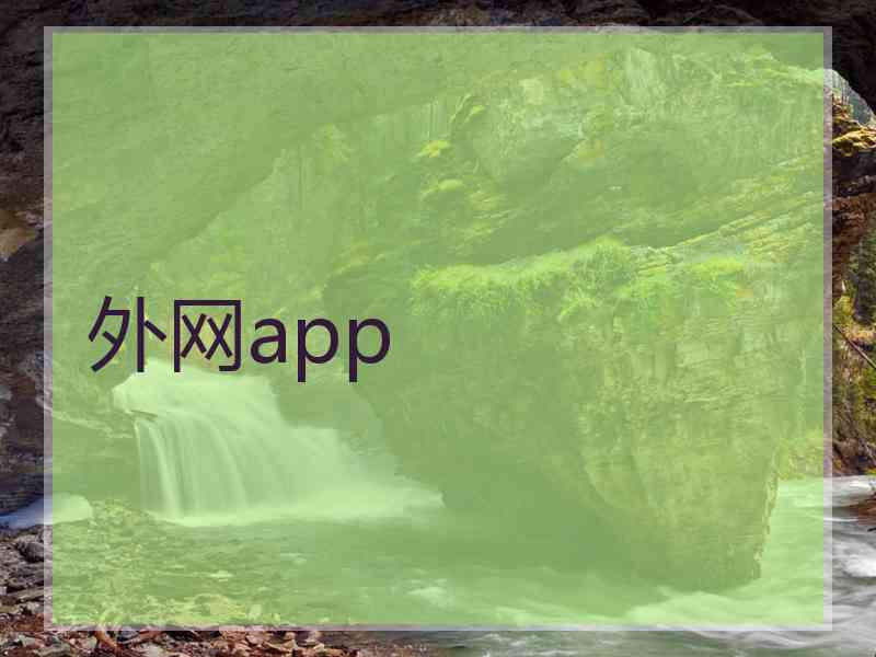 外网app