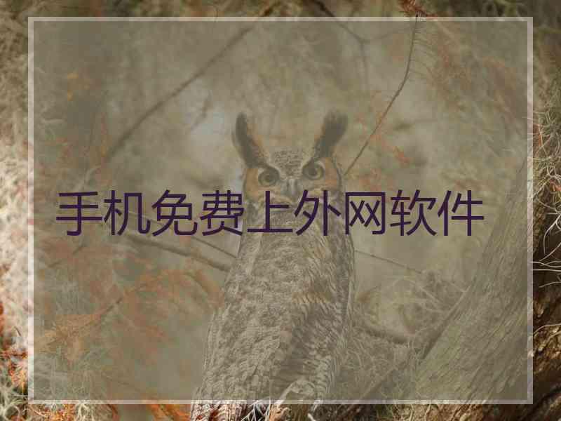 手机免费上外网软件