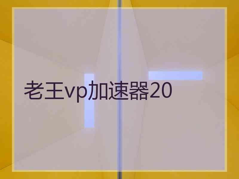 老王vp加速器20