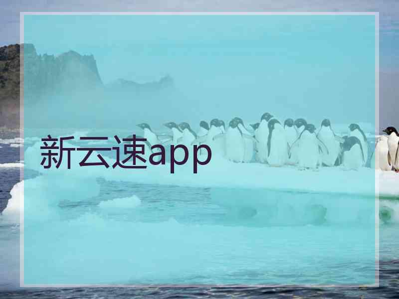 新云速app