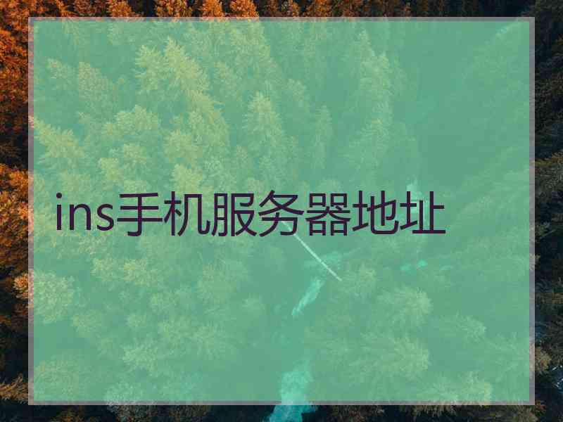 ins手机服务器地址