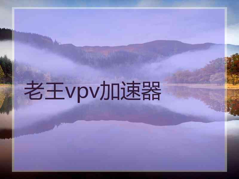 老王vpv加速器