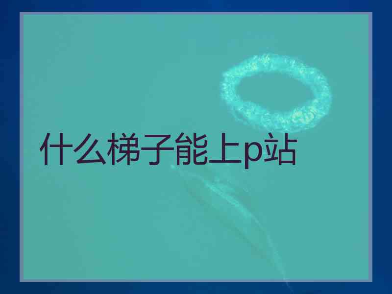 什么梯子能上p站