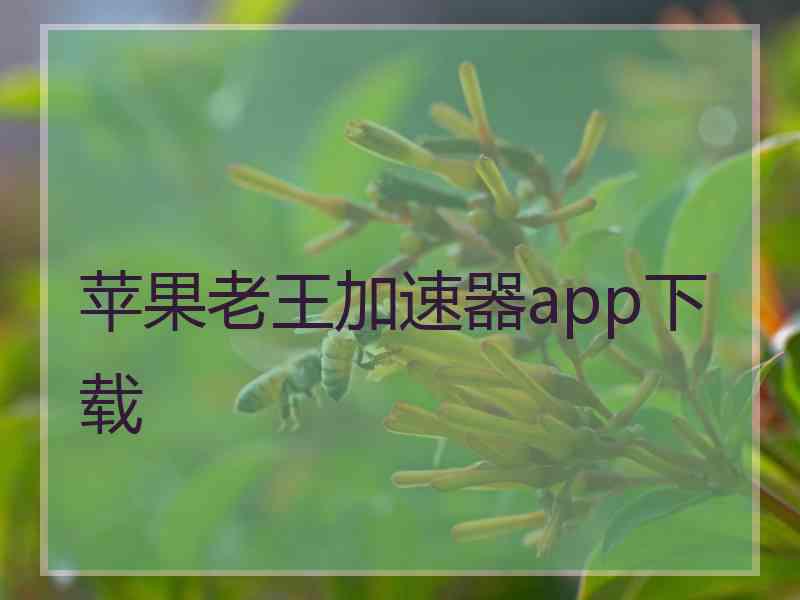 苹果老王加速器app下载