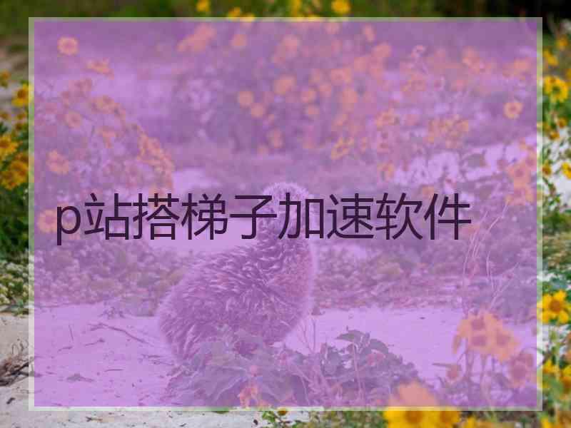 p站搭梯子加速软件