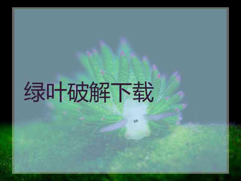 绿叶破解下载