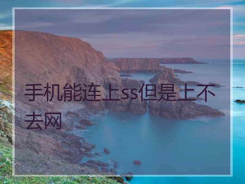 手机能连上ss但是上不去网