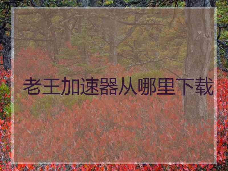 老王加速器从哪里下载