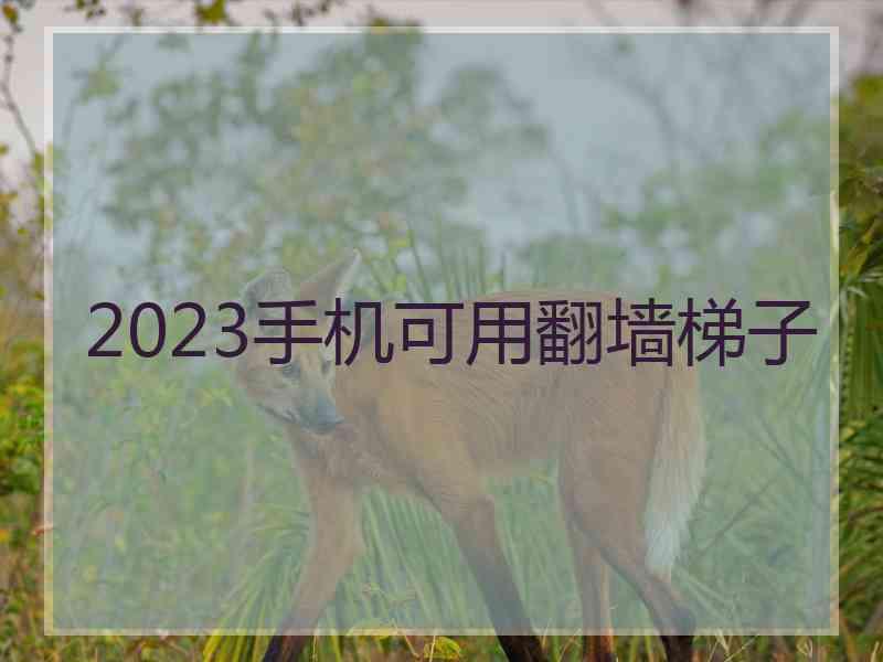 2023手机可用翻墙梯子