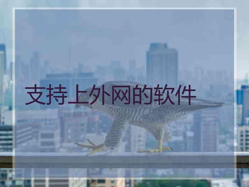 支持上外网的软件