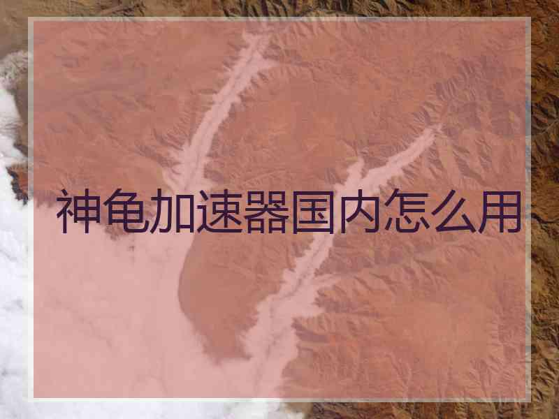 神龟加速器国内怎么用