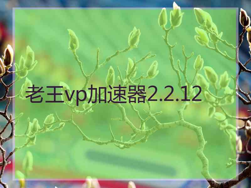 老王vp加速器2.2.12