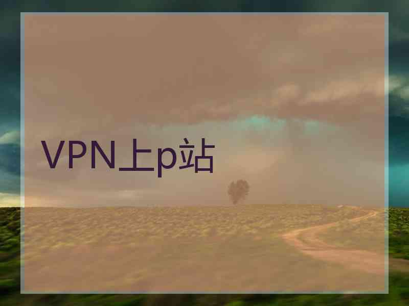 VPN上p站