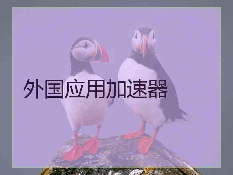 外国应用加速器