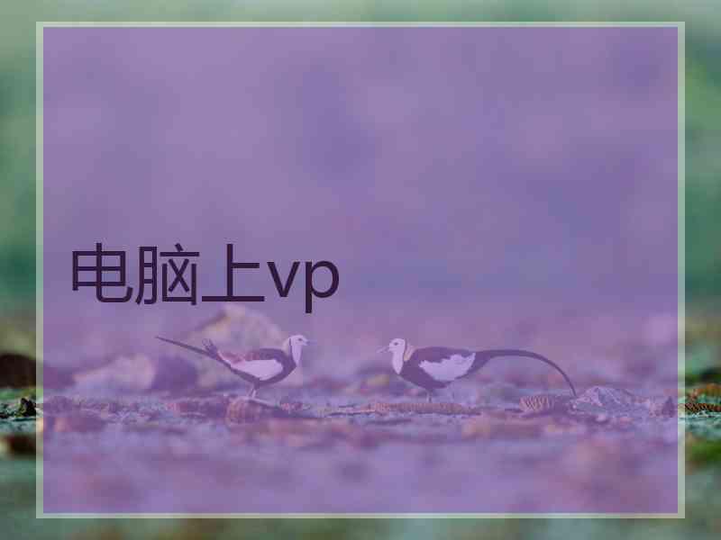 电脑上vp