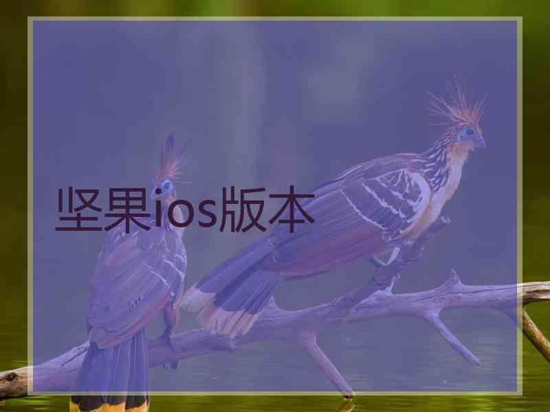 坚果ios版本