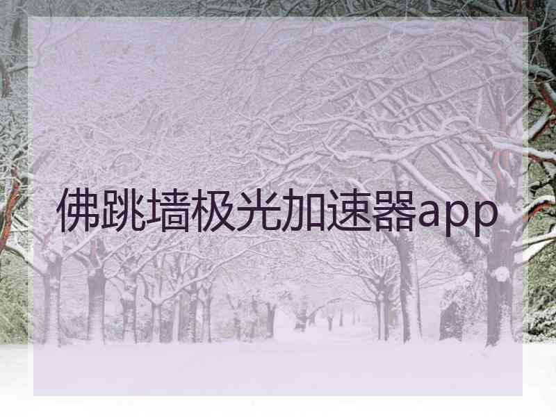 佛跳墙极光加速器app