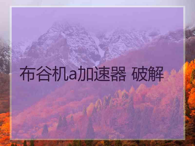 布谷机a加速器 破解