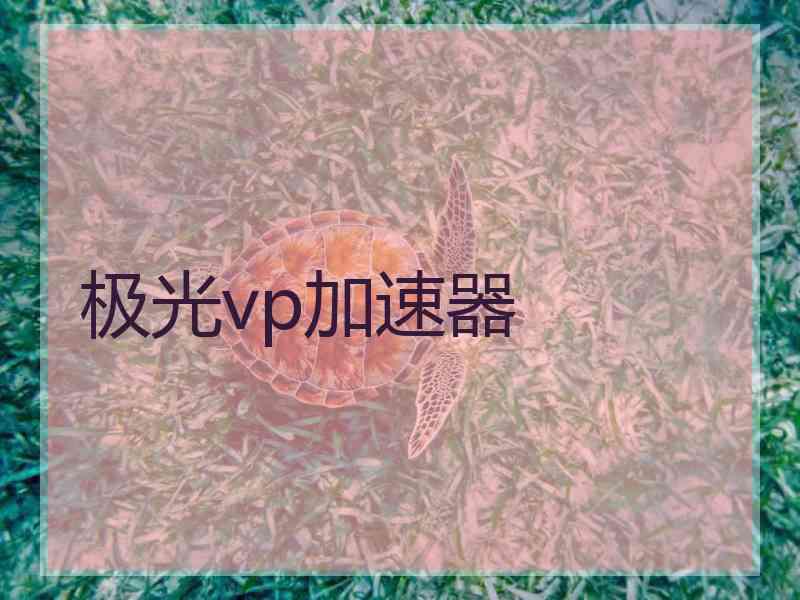 极光vp加速器