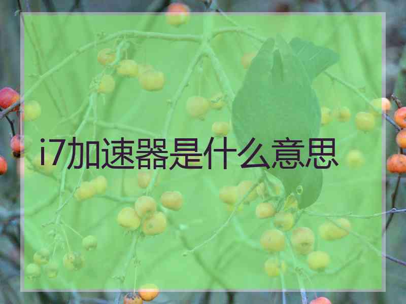 i7加速器是什么意思