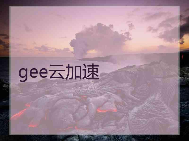 gee云加速