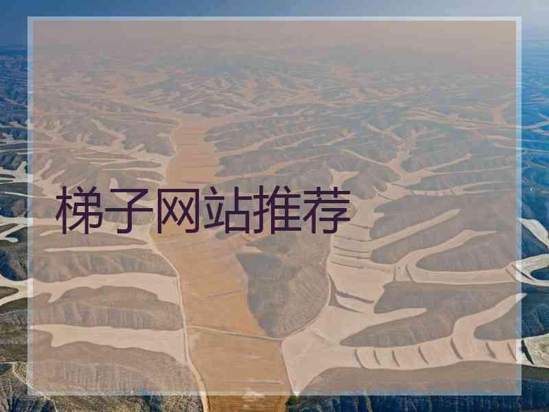梯子网站推荐