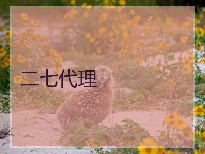 二七代理