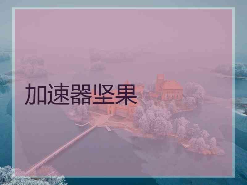 加速器坚果