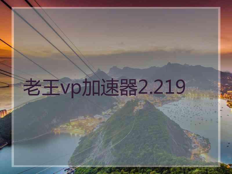 老王vp加速器2.219