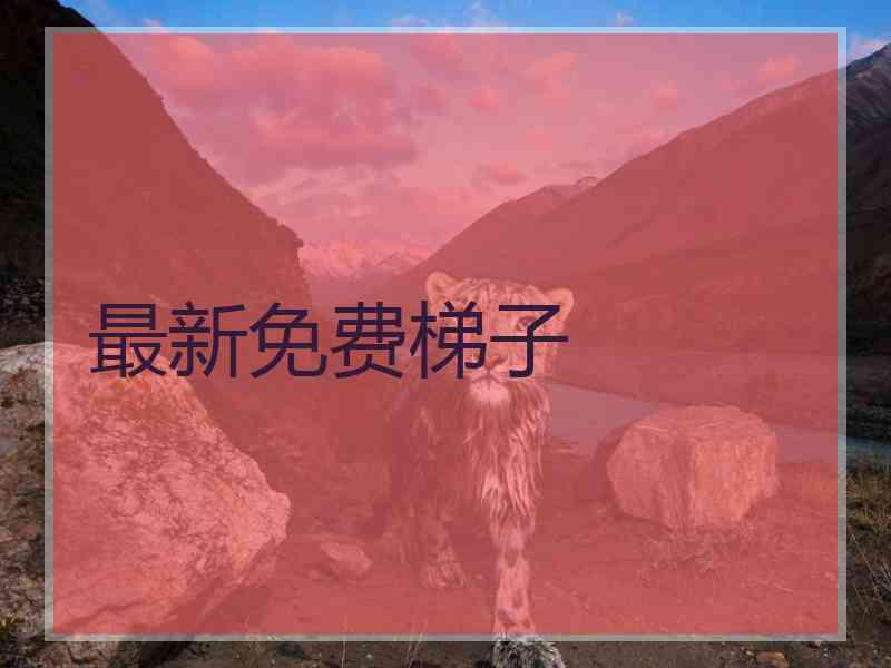 最新免费梯子