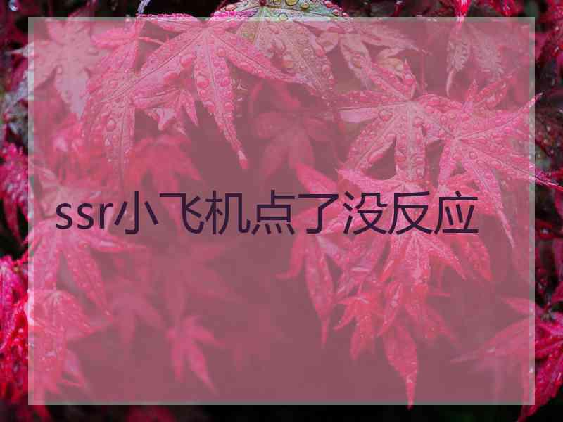 ssr小飞机点了没反应