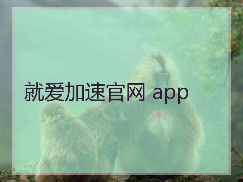 就爱加速官网 app