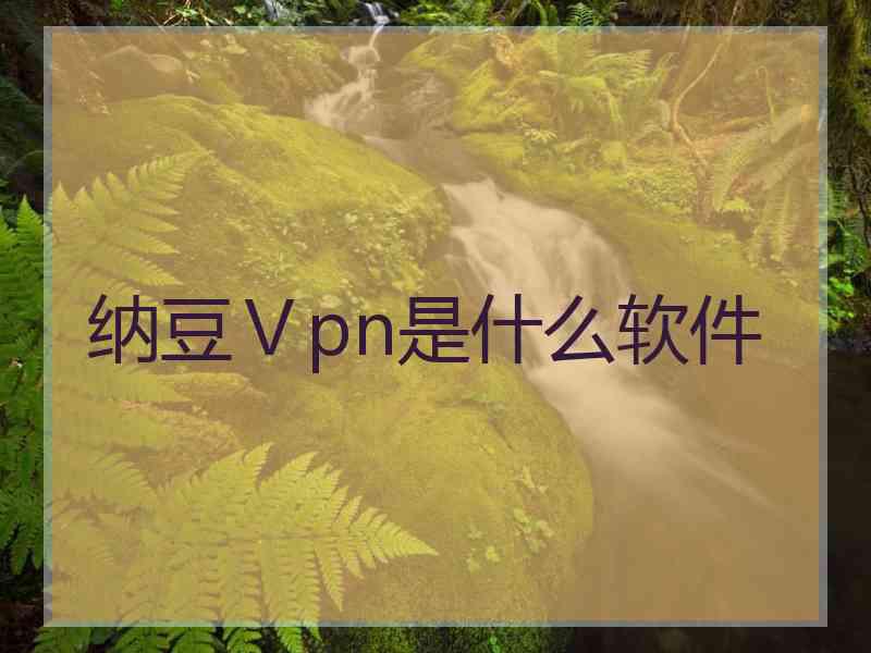 纳豆Ⅴpn是什么软件