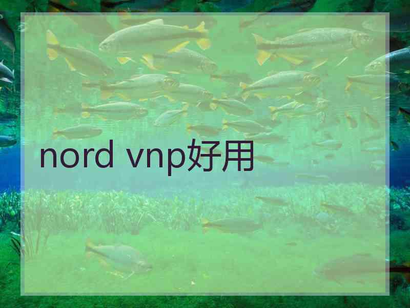 nord vnp好用