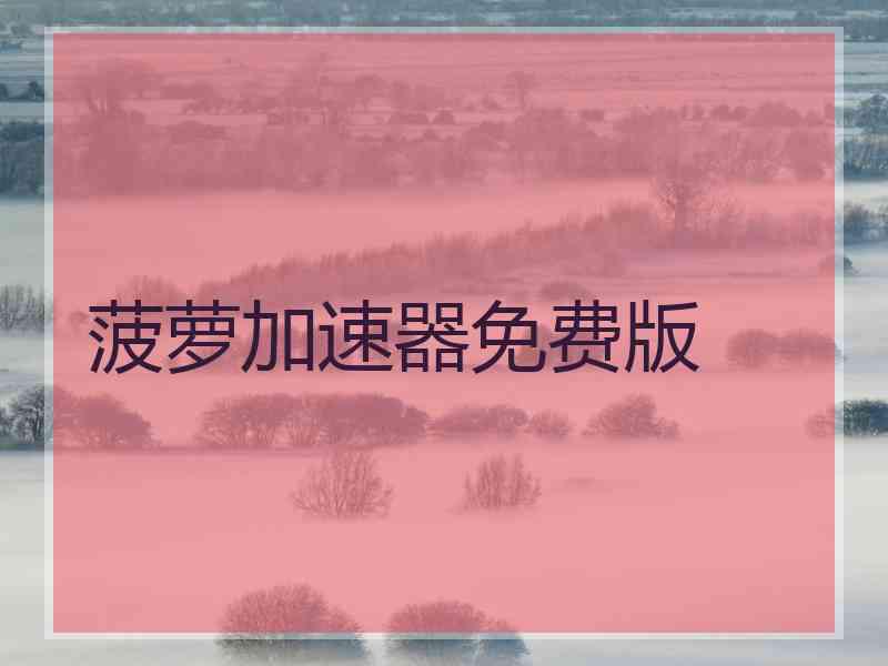 菠萝加速器免费版