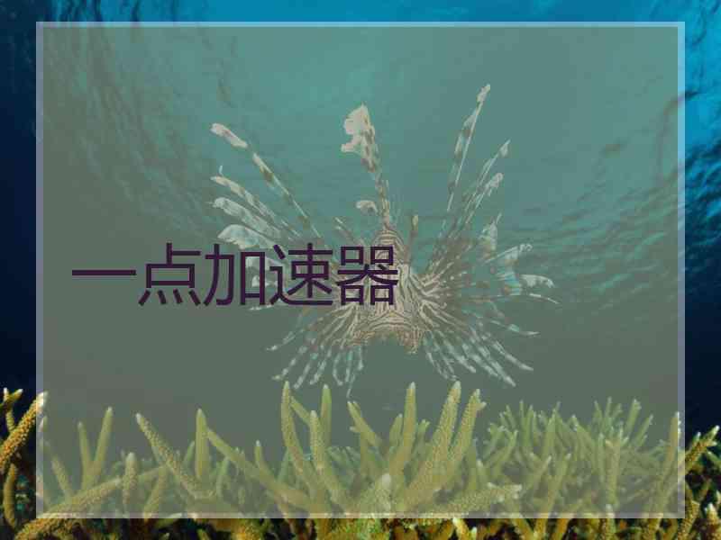 一点加速器